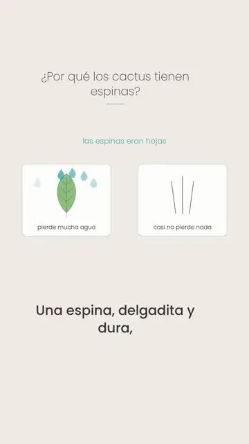 Fotograma vertical del Short: ¿Por qué los cactus tienen espinas?